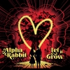 Trenton NJ’s Alpha Rabbit Returns with ‘Let It Grow’ LP (Exclusive Premiere & Interview)