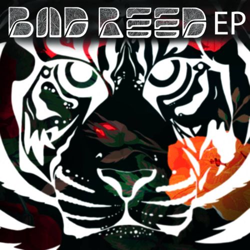 Bad Reed - ‘Punch It’