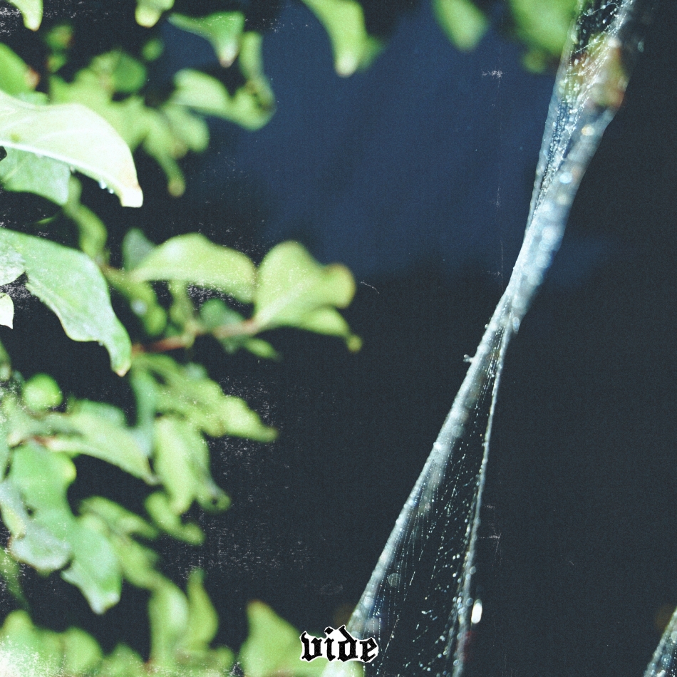 Shoegaze act vide unveils haunting new single, “decorated in spiderweb”