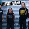 Catching up with Frenzal Rhomb
