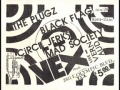 Mad Society, Plugz, Circle Jerks, Black Flag