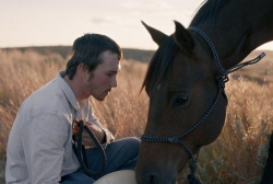 The Rider Film Review