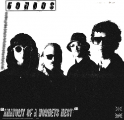Gondos Turn Up the Heat on Ferocious New Album Anatomy Of A Hornet’s Nest