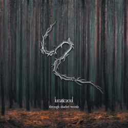 Lunatic Soul - ‘Through Shaded Woods’