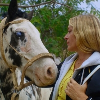 Magic Farm Film Review
