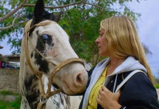 Magic Farm Film Review