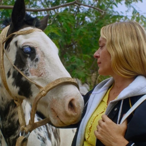 Magic Farm Film Review