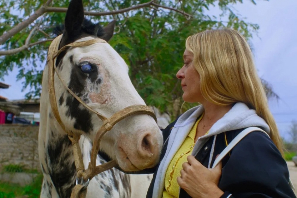 Magic Farm Film Review