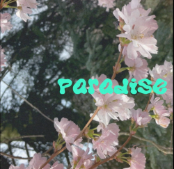 GLASGOW’S MORNING MIDNIGHT NEW SINGLE PARADISE