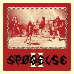 Punk band Spøgelse proceed with abandon on latest album