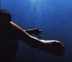 The Moss Announce Free Ride EP Featuring New Single “Oasis”