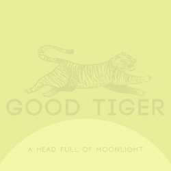 A Head Full of Moonlight