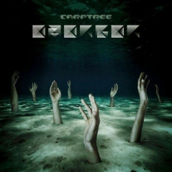 Carptree - ‘Emerger’