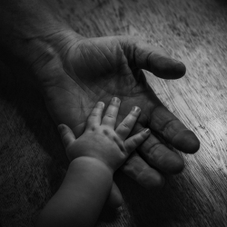 No Apologies Return With New Single and Video “Grief” Featuring Jem Siow of Speed