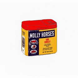 Molly Horses: L.A. Noise-Punk Pioneers Forge DIY Soundscapes with  ‘King Dundalk’