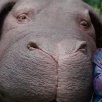 An Extreme Take on the Food Industry: Okja Film Review