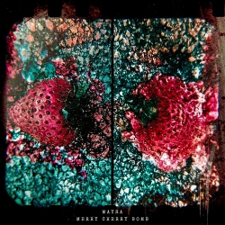 Premiere: Merry Cherry Bomb Conjures Psychedelic Surf Horror on “Waves”