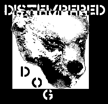 Distempered Dog