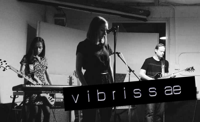 Vibrissae - ‘Need’